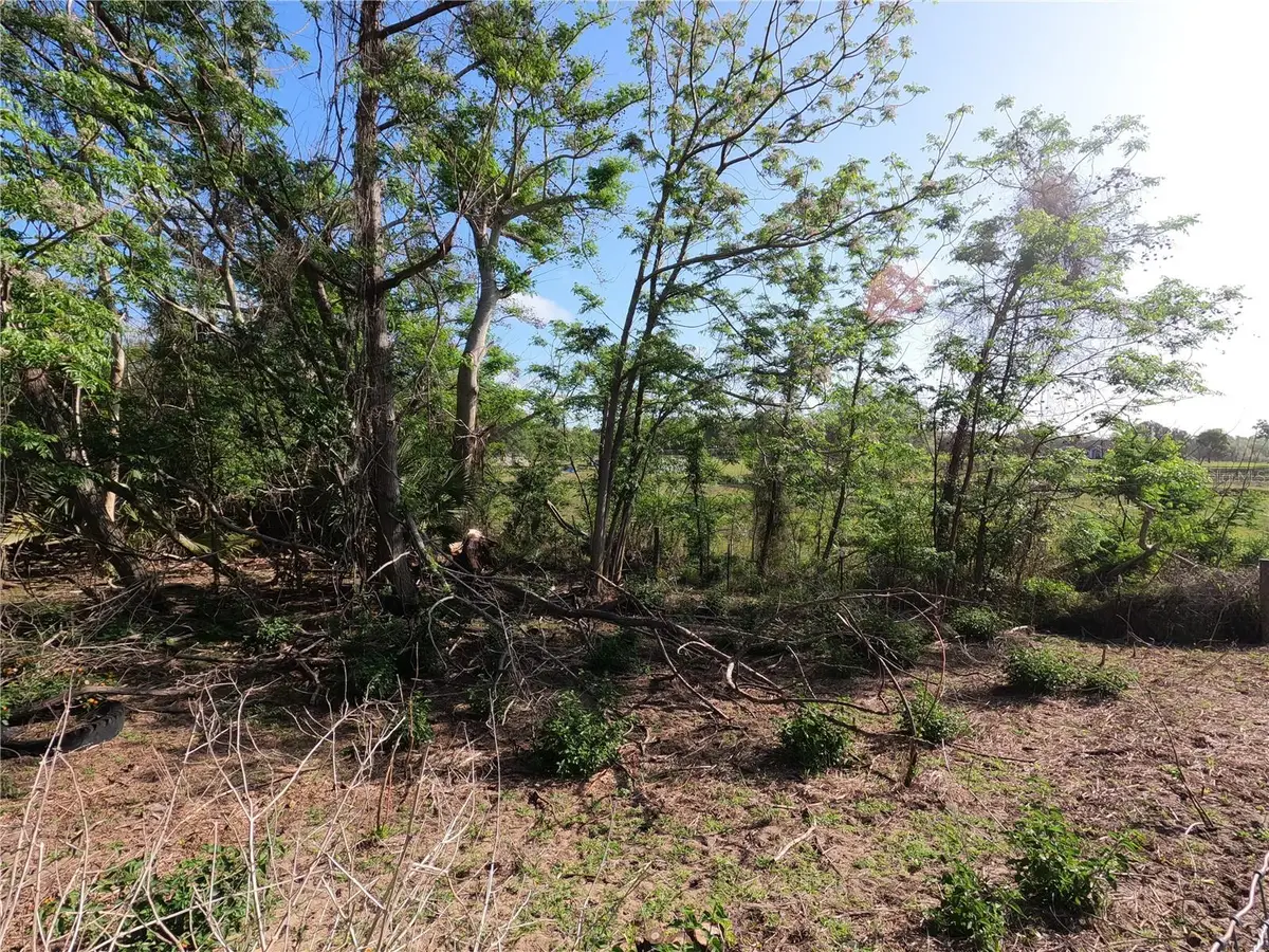 0 Earth Star Lane, Groveland, FL 34736 - #1