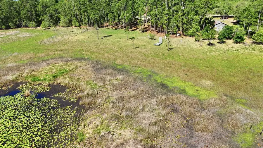 TBD Holly Branch Road, Eustis, FL 32736 - #2