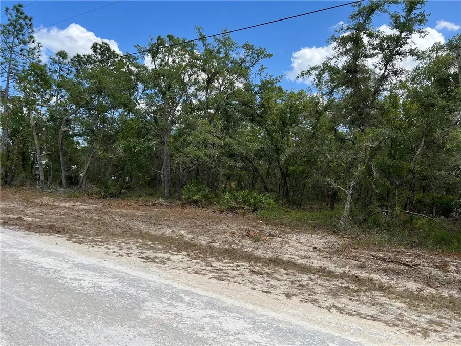 Sage Thrasher Ave, Weeki Wachee, FL 34614 - #2