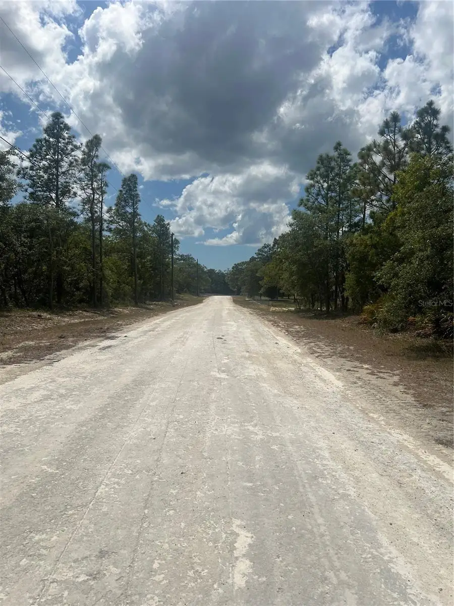 Sage Thrasher Ave, Weeki Wachee, FL 34614 - #3