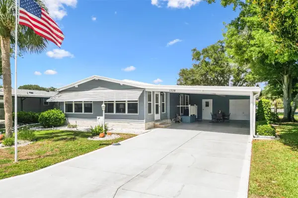 1228 Palmetto Drive, THE VILLAGES, FL 32159