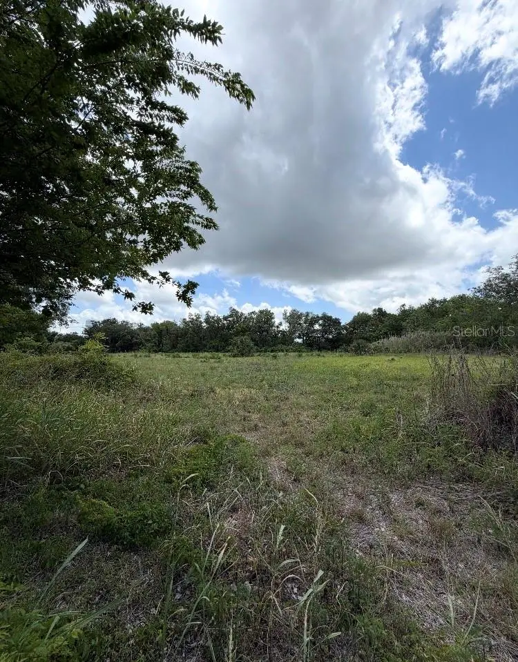 N Oakland Street, Leesburg, FL 34748 - #3