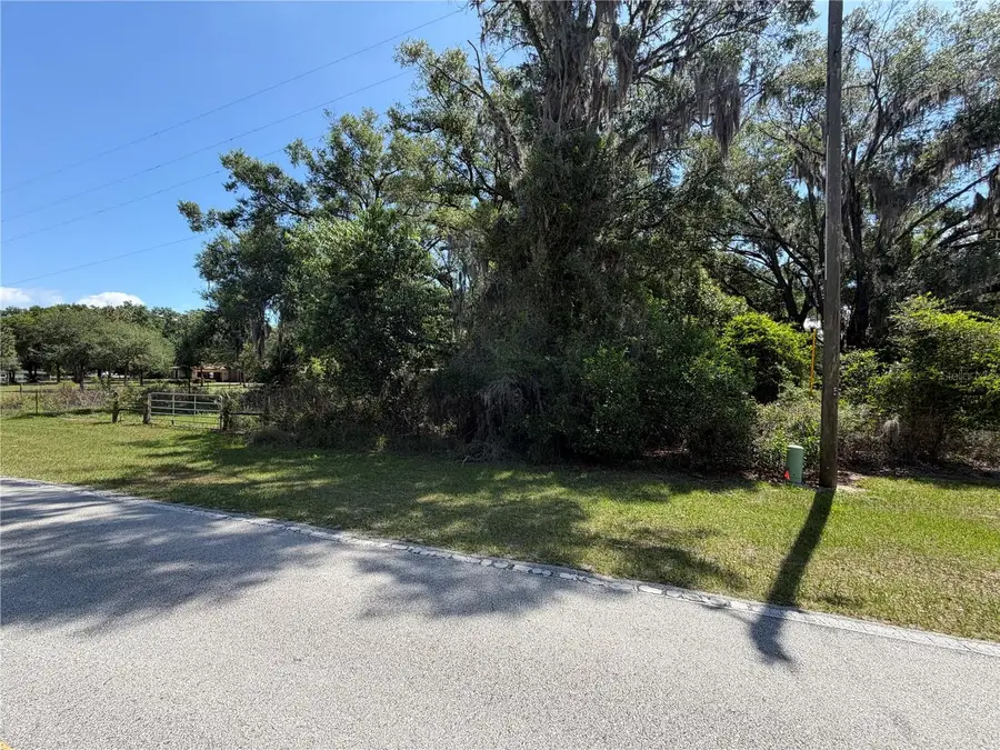 Dora Drive, Mount Dora, FL 32757 - #2