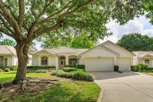 3805 Scarborough Court, CLERMONT, FL 34711