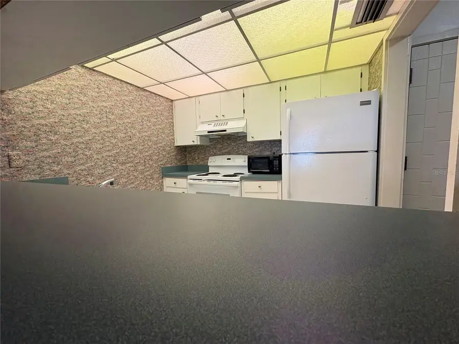 167 Palm View Court #3487, Haines City, FL 33844 - #3