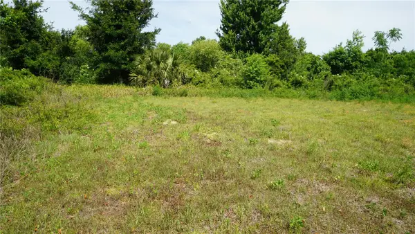 Marilyn Avenue, HOWEY IN THE HILLS, FL 34737