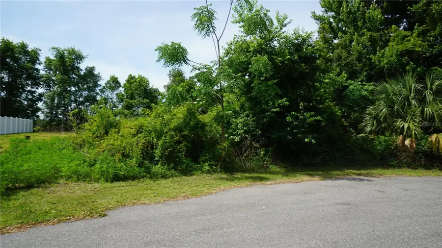 Marilyn Avenue, Howey In The Hills, FL 34737 - #2