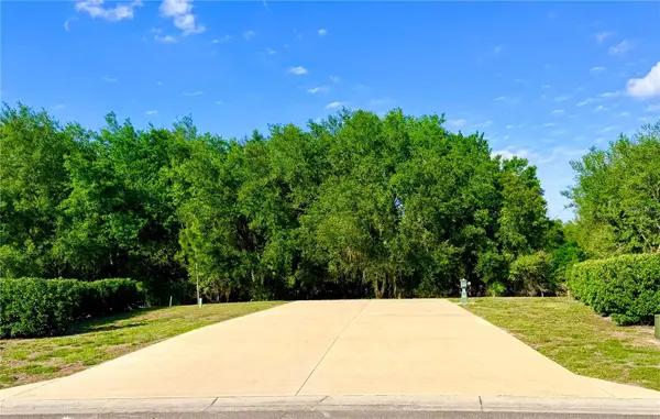 4933 SE 92nd Boulevard, WEBSTER, FL 33597