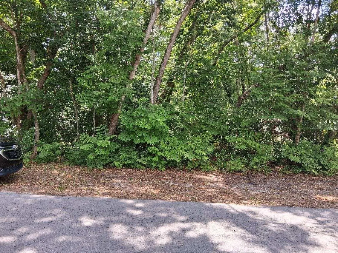 NW 2nd Street, Webster, FL 33597 - #1