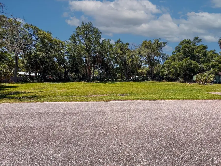 Lot 00200 Lenord Street, Umatilla, FL 32784 - #2