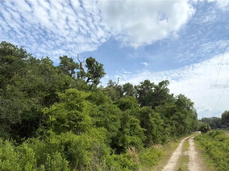 County Road 707, Webster, FL 33597 - #2