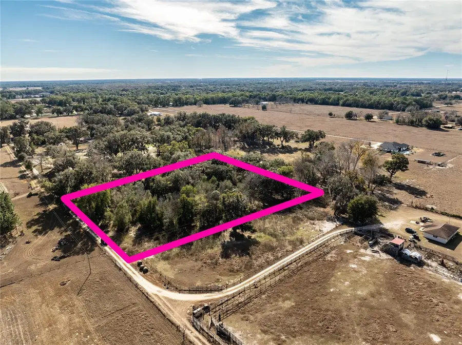 Ne 4th Place, Oxford, FL 34484 - #3
