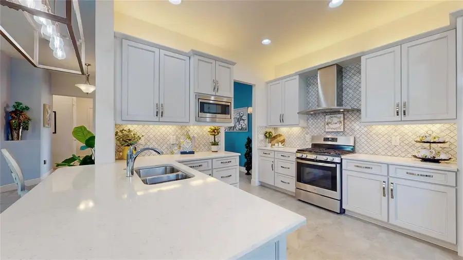 30843 Lindentree Drive, Wesley Chapel, FL 33543 - #2