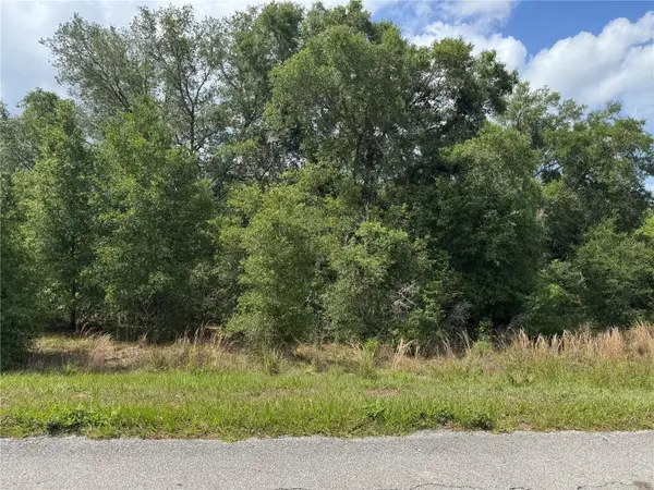 TBD Keene Road, ALTOONA, FL 32702