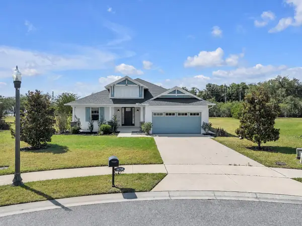 16288 Spring View Court, CLERMONT, FL 34711