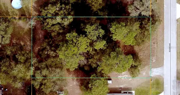 SE 92nd Avenue, SUMMERFIELD, FL 34491