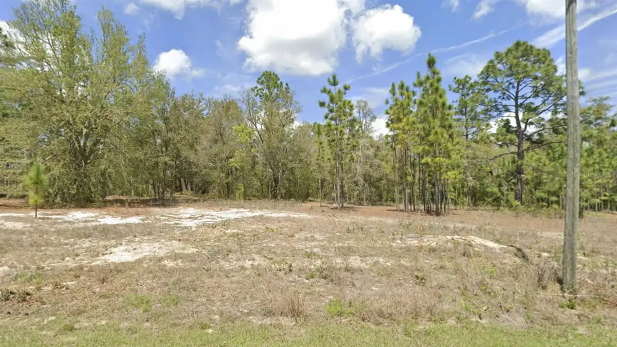 1907 W Corrine Street, Dunnellon, FL 34434 - #1