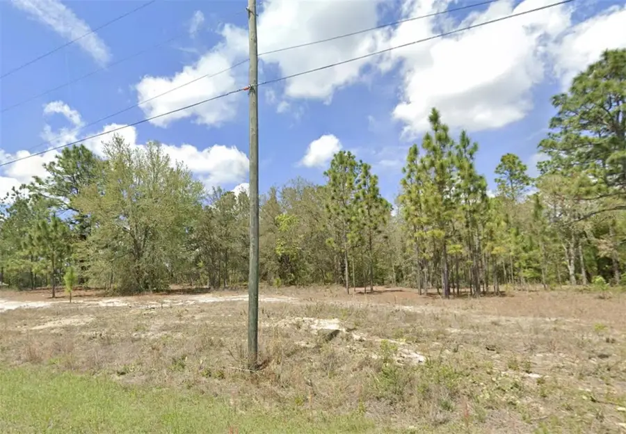 1907 W Corrine Street, Dunnellon, FL 34434 - #2