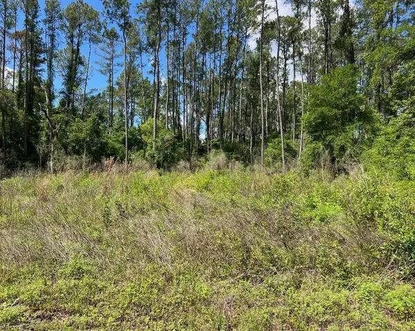 9976 N Athenia Drive, CITRUS SPRINGS, FL 34434