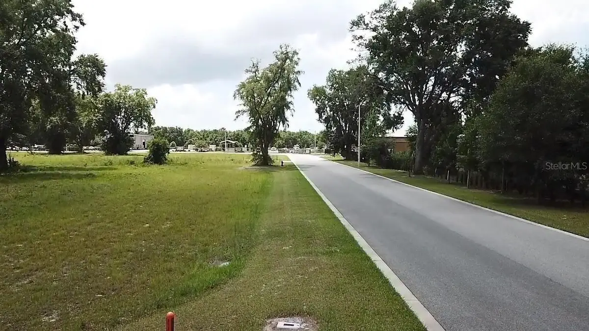 1020 Duck Box Road, Umatilla, FL 32784 - #1