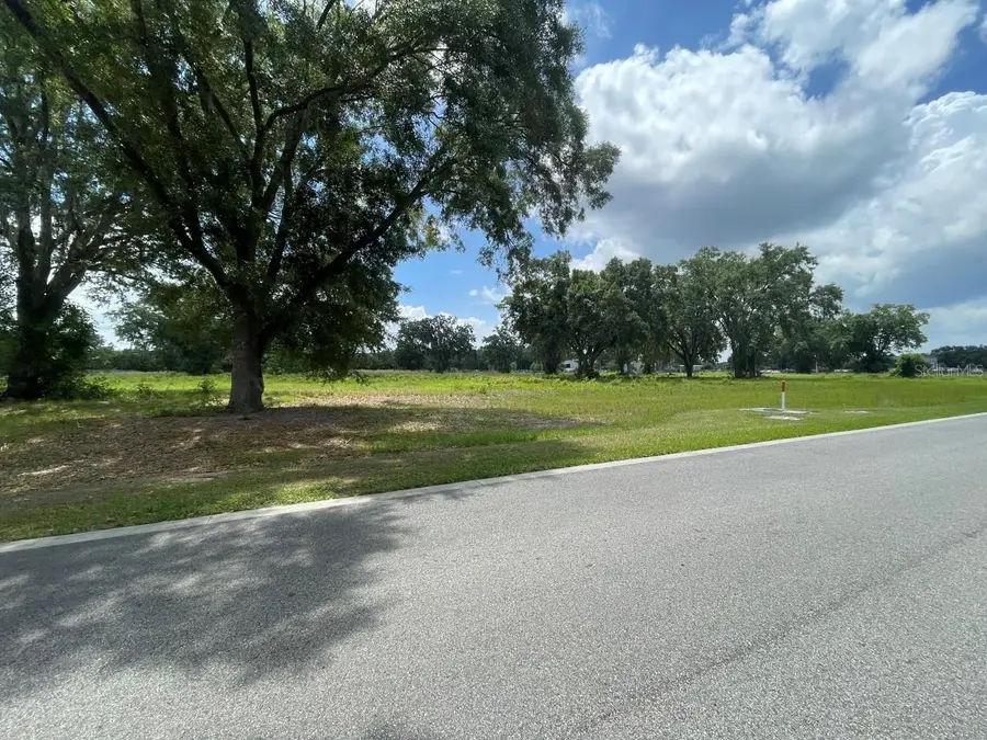 1020 Duck Box Road, Umatilla, FL 32784 - #2