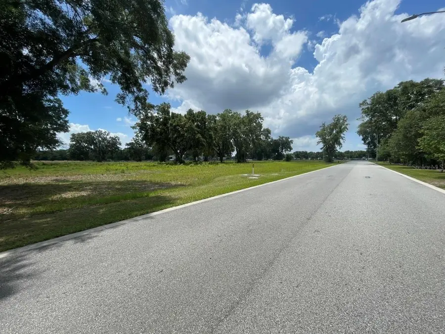 1020 Duck Box Road, Umatilla, FL 32784 - #3