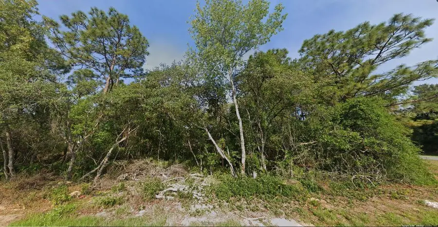 SW 133 Loop, Ocala, FL 34473 - #3