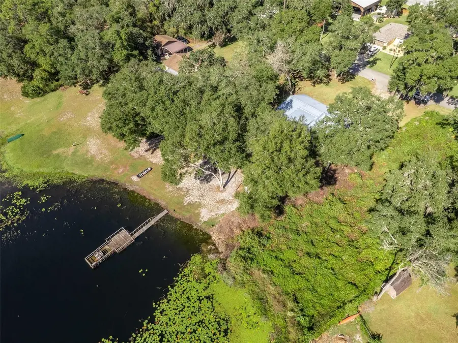 16684 SE 54th Street, Ocklawaha, FL 32179 - #3