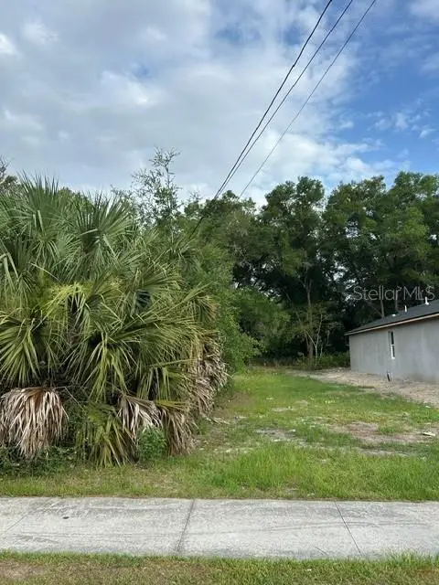 Palmetto Street, EUSTIS, FL 32726