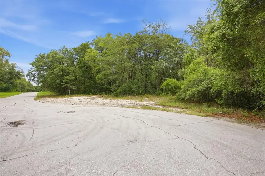 000 SW 172nd Loop, Ocala, FL 34473 - #2