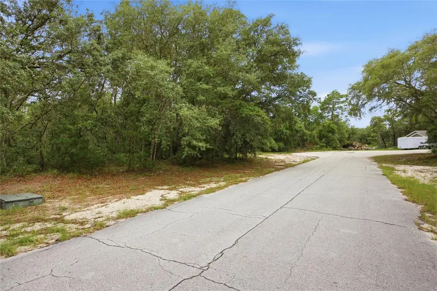 000 SW 172nd Loop, Ocala, FL 34473 - #3