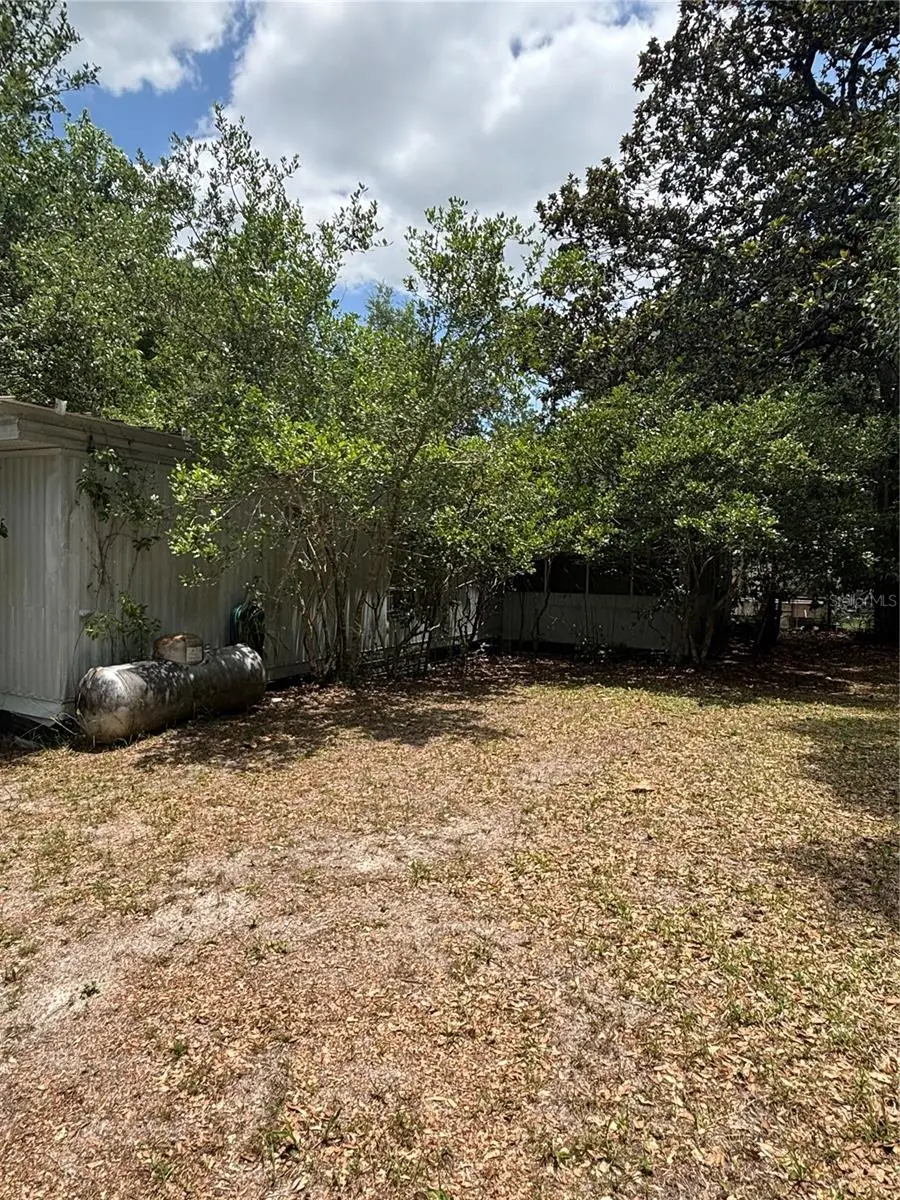 20304 Blue Wing Road, Altoona, FL 32702 - #3