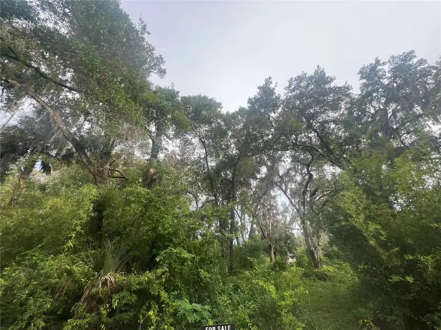 NE 32nd Street, Silver Springs, FL 34488 - #2