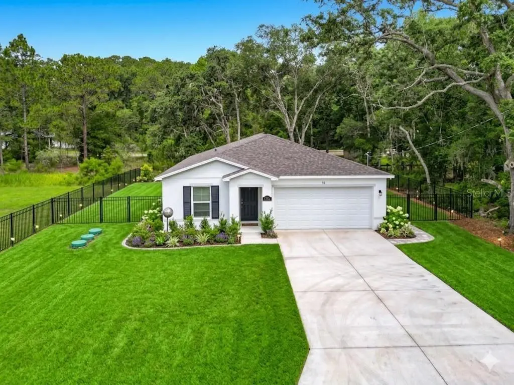 50 Bay Road, Ocklawaha, FL 32179 - #1