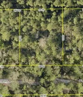 0 Plumosus Terrace, Deland, FL 32724 - #1