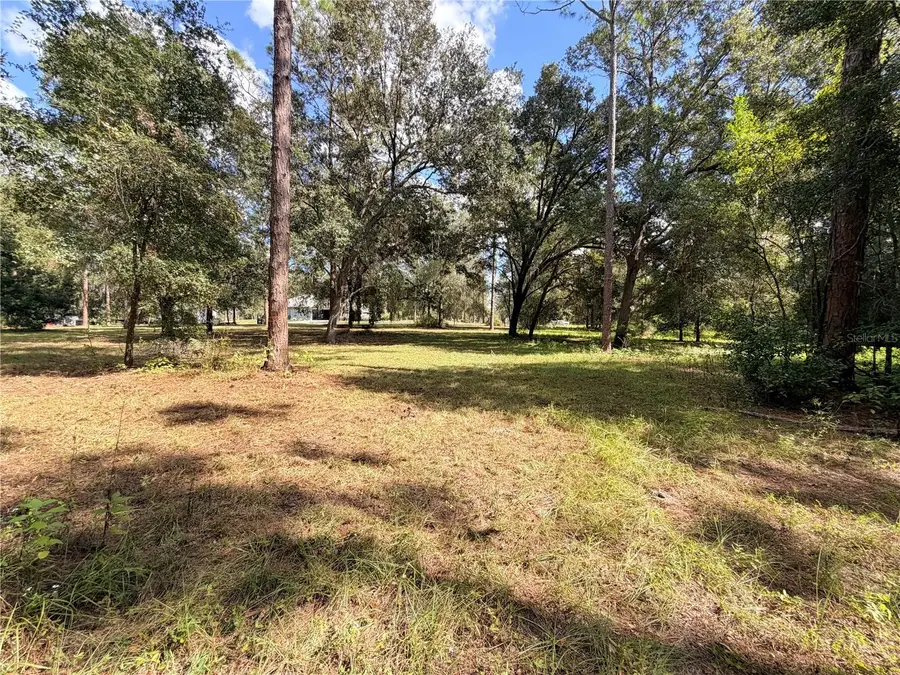 Bonsmara Drive, Groveland, FL 34736 - #2