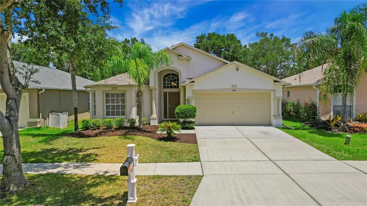 31113 Stone Arch Avenue, Wesley Chapel, FL 33545 - #1