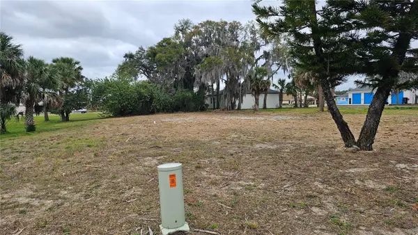 209 W Badger Avenue, EUSTIS, FL 32726