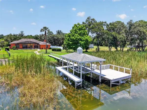 29742 Squirrel Point Road, TAVARES, FL 32778
