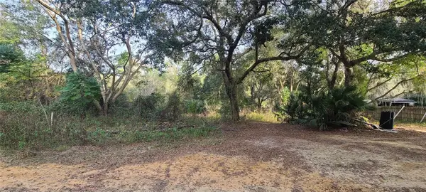 17205 SE 252nd Avenue, UMATILLA, FL 32784