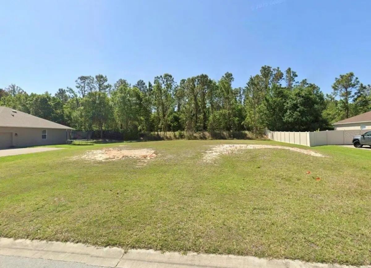 5620 Windsong Oak Drive, Leesburg, FL 34748 - #1