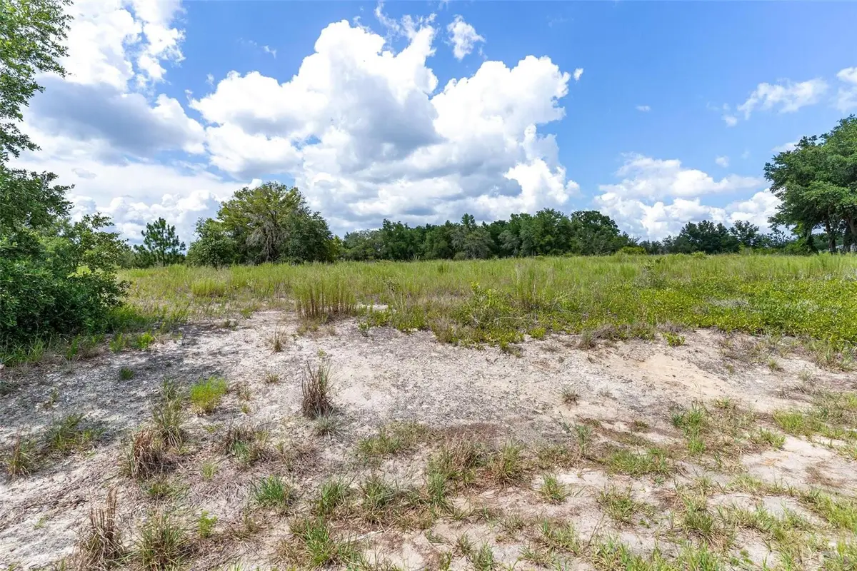 SW Zephyr Hill Court, Dunnellon, FL 34431 - #1