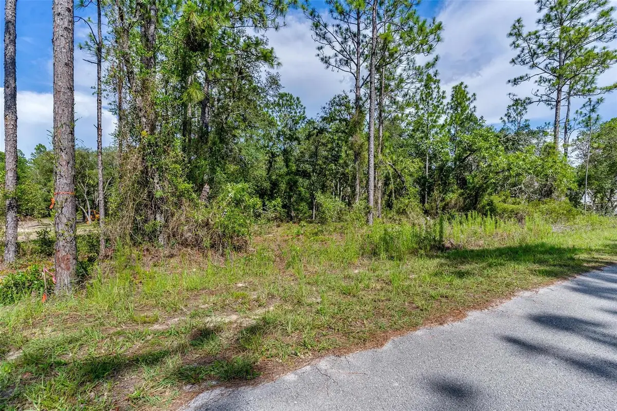 SW Viola Court, Dunnellon, FL 34431 - #1