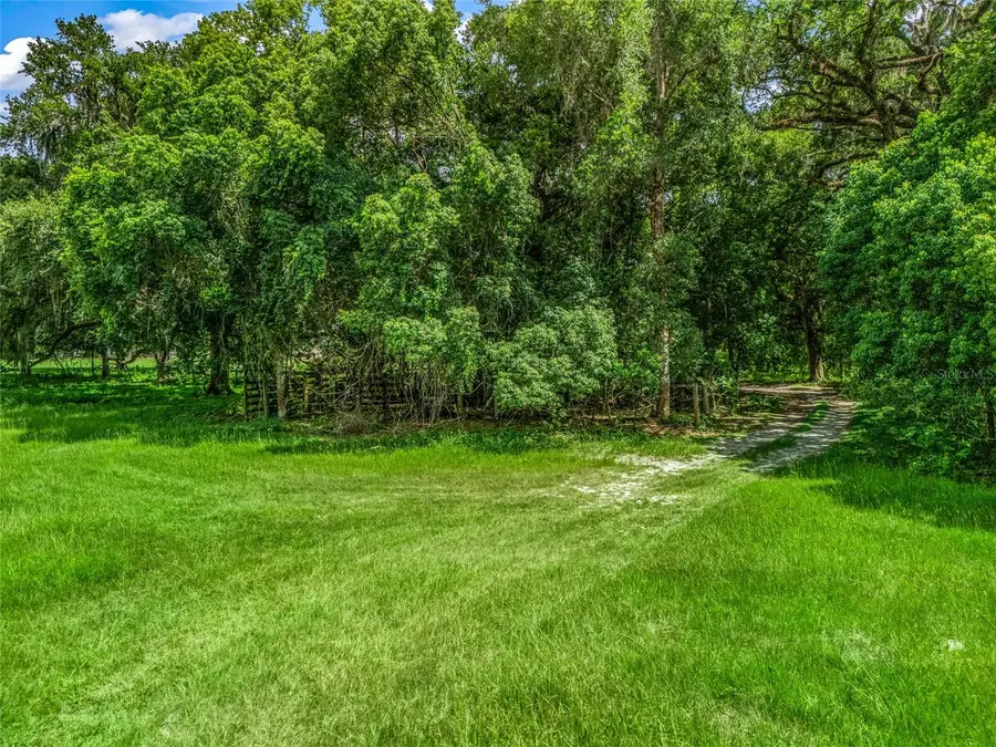0000 Cr 738 Unassigned, Webster, FL 33597 - #2
