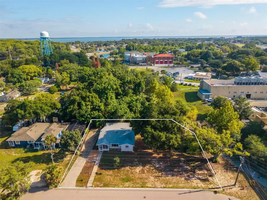 610 W Maud Street, Tavares, FL 32778 - #3