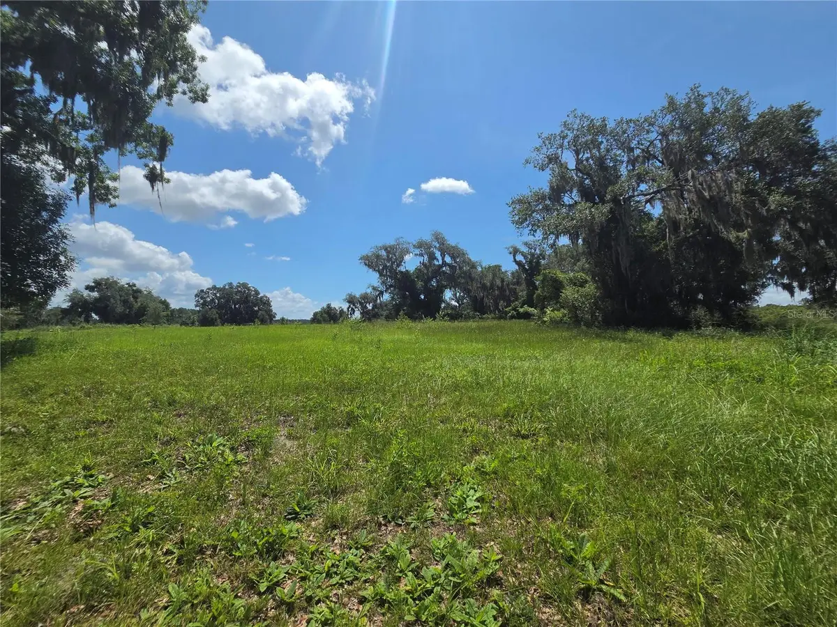 466 Long And Winding Road, Howey In The Hills, FL 34737 - #1