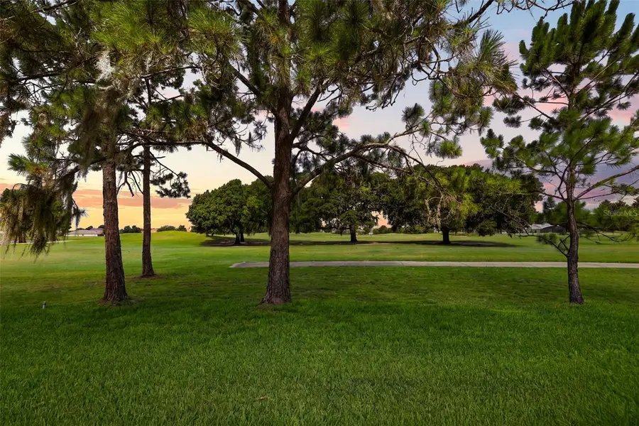 29925 Cypress Pointe, Tavares, FL 32778 - #3
