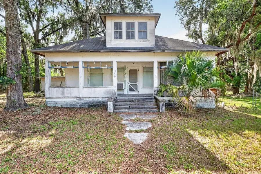316 N Highland Street, Mount Dora, FL 32757 - #2