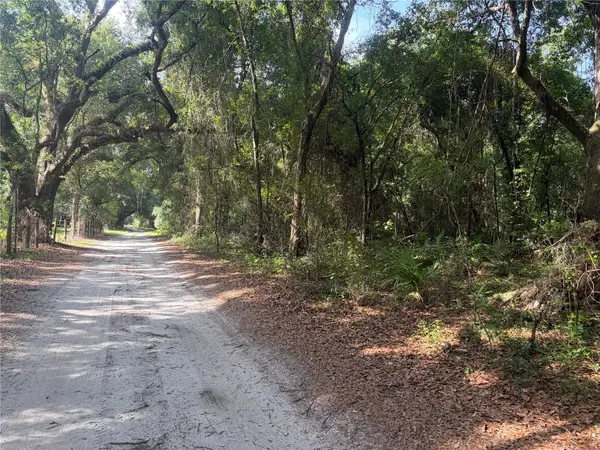 0000 Cr 738, WEBSTER, FL 33597
