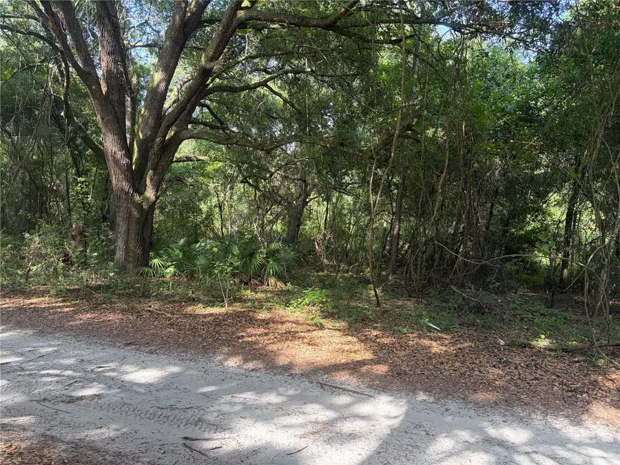 0000 Cr 738, Webster, FL 33597 - #2